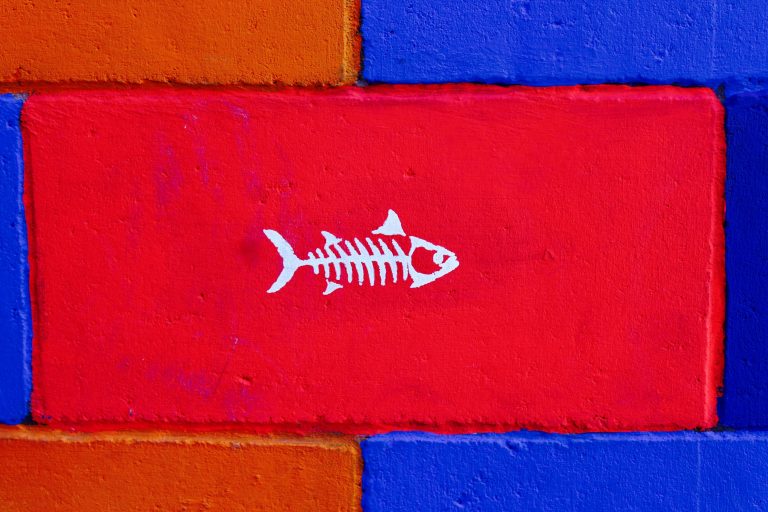 Ishikawa diagram: wat is het?