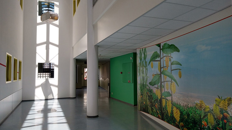 Interim manager Psychiatrie