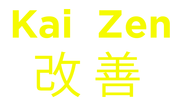 Zorgproces verbeteren met Kaizen