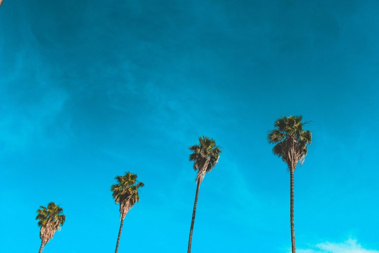 ANOVA variantie analyse